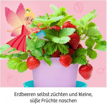 Preview: Kosmos Experimentieren Girls Feen-Erdbeeren 657819
