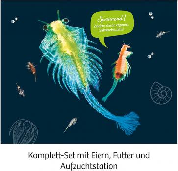 Preview: Kosmos Experimentieren Urzeitkrebse Urzeit-Krebse 657871