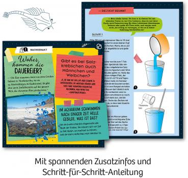 Kosmos Experimentieren Urzeitkrebse Urzeit-Krebse 657871