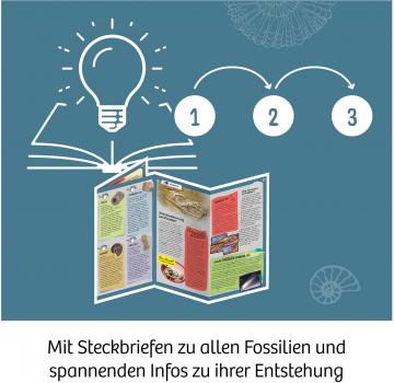 Preview: Kosmos Experimentieren Ausgrabung Fossilien 657918