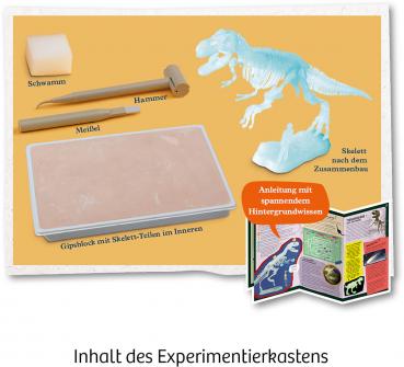 Preview: Kosmos Experimentieren Ausgrabung Nachtleuchtender T-REX 658021