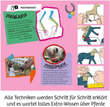 Kosmos Experimente für Einsteiger Traumpferd 658205