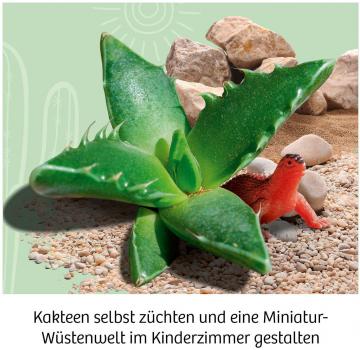 Preview: Kosmos Experimentieren Natur Kakteen-Wüste 658250