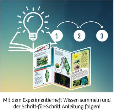 Kosmos Experimente Einsteiger Die Schule der magischen Tiere Caspar mit magischen UV-Perlen 658281