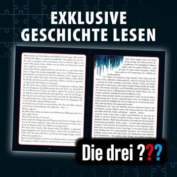 Preview: 300 Teile Kosmos Familienspiel Krimispiel Krimipuzzle Die drei ??? Echo der Finsternis 684464
