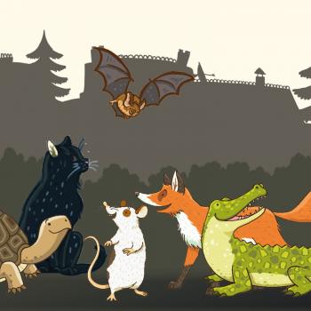 Kosmos Kinderspiel Reaktionsspiel Die Schule der magischen Tiere Nicht zu fassen 697679