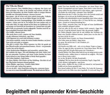 300 Teile Kosmos Familienspiel Krimispiel Krimipuzzle Die drei ??? Die Villa der Rätsel 697976