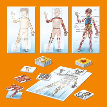 Preview: Kosmos Mitbringspiel Wissensspiel WAS IST WAS Junior Mein Körper 711498