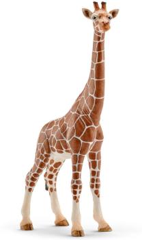 Artikelbild