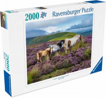 Preview: 2000 Teile Ravensburger Puzzle Wildpferde in der Heide 12001751