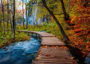 Preview: 1000 Teile Ravensburger Puzzle Herbstlicher Waldweg 12001764