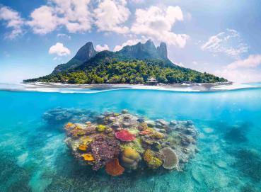 Preview: 500 Teile Ravensburger Puzzle Insel und Korallenwelt 12001798