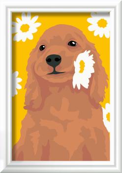 Preview: Ravensburger Malen nach Zahlen CREART Serie F Cocker Spaniel Sunny 12023173 12023173