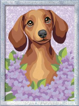 Preview: Ravensburger Malen nach Zahlen CREART Serie D Romantik Dackel Lilac 12023185 12023185