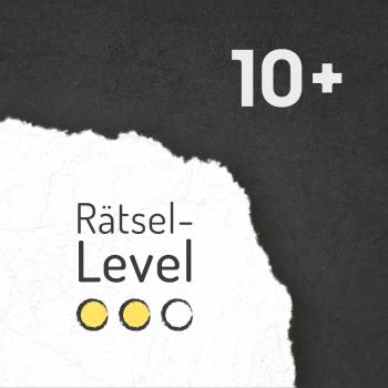 Ravensburger Mystery Adventskalender Der indische Palast ab 10 Jahren 25530