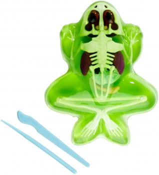 Simba Outdoor Forschen und Entdecken Scout Dissect-It Frosch Schleim-Sezierset 109452703