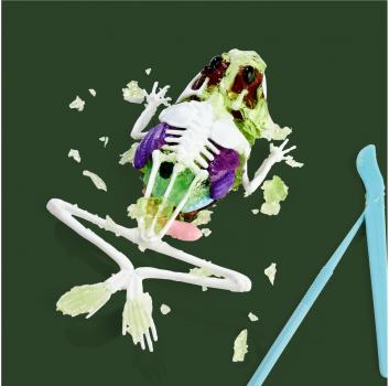 Simba Outdoor Forschen und Entdecken Scout Dissect-It Frosch Schleim-Sezierset 109452703