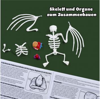 Simba Outdoor Forschen und Entdecken Scout Dissect-It Fledermaus Schleim-Sezierset 109452705