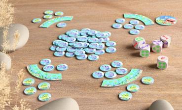 HABA Kinderspiel Würfelspiel Froggos Sammelspiel Würfelspiel 2012811001