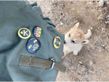 HABA Outdoor Kreativität Terra Kids Ansteckbuttons 4er Set Button Buddies 2014021001