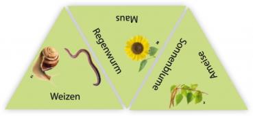 Preview: HABA Kinderspiel Lernspiel Learning Star Natur 2013371002