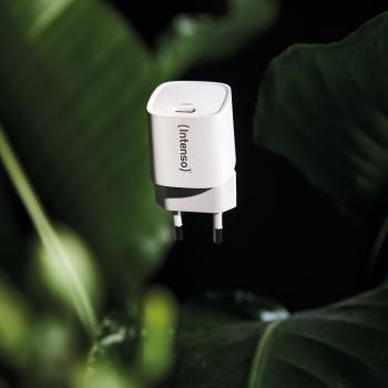 Intenso Ladegerät Power Adapter 30 Watt W30C² GaN 1x USB-C für 1 Gerät weiß