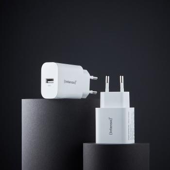 Intenso Ladegerät Power Adapter 5 Watt W5A 1x USB-A für 1 Gerät weiß Doppelpack