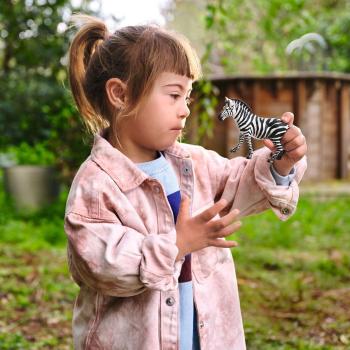 Preview: Schleich WILD LIFE Zebra Stute Einzelfigur 14810