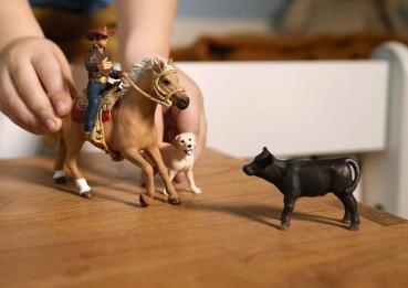 Schleich FARM WORLD Westernreiten Set 6 Teile 42578