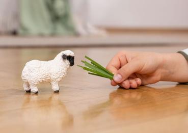 Preview: Schleich FARM WORLD Walliser Schwarznasenschaf Einzelfigur 13965