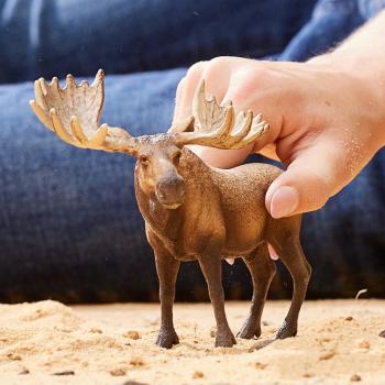 Preview: Schleich WILD LIFE Elch Bulle Einzelfigur 14781