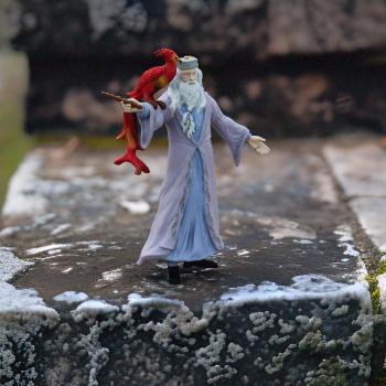 Preview: Schleich HARRY POTTER FANTASTIC BEASTS Dumbledore™ & Fawkes™ 2 Figuren 42637
