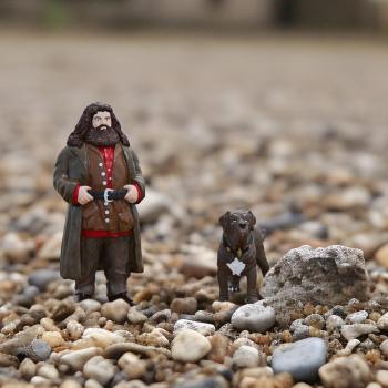 Preview: Schleich HARRY POTTER FANTASTIC BEASTS Hagrid™ & Fang 2 Figuren 42638