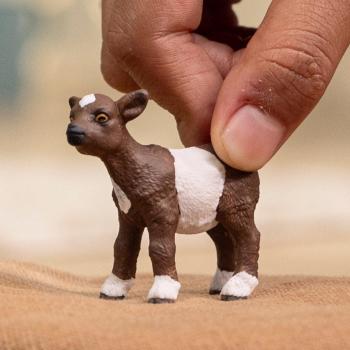 Preview: Schleich FARM WORLD Zicklein Einzelfigur 14888