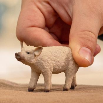 Preview: Schleich FARM WORLD Wollschwein Ferkel Einzelfigur 14893