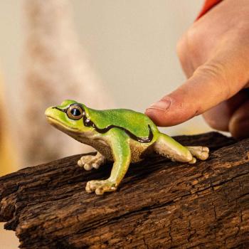 Preview: Schleich WILD LIFE Europäischer Laubfrosch Einzelfigur 14882