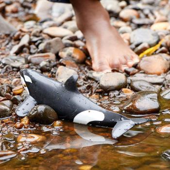 Preview: Schleich WILD LIFE Orka Einzelfigur 14807