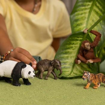 Preview: Schleich WILD LIFE Asien Starter-Set 4 Figuren 42736