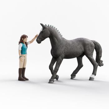 Preview: Schleich HORSE CLUB Lisa & Storm Set 6 Teile 42712