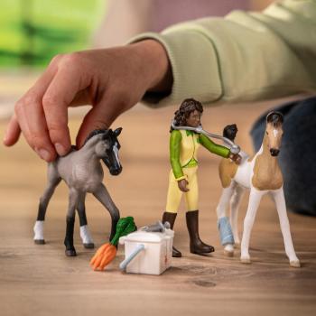 Schleich HORSE CLUB Sarah's Erste-Hilfe-Set Set 8 Teile 42777