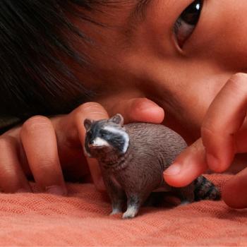 Preview: Schleich WILD LIFE Waschbär Einzelfigur 14937