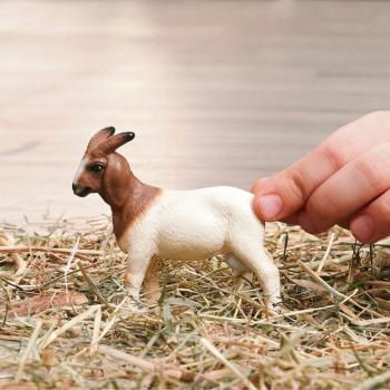Preview: Schleich FARM WORLD Burenziege Einzelfigur 14929