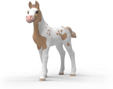 Preview: Schleich HORSE CLUB Sammelfohlen Rusty Einzelfigur 81484