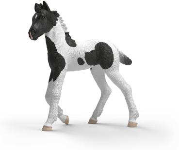 Preview: Schleich HORSE CLUB Sammelfohlen Rocky Einzelfigur 81481