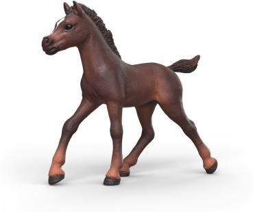 Preview: Schleich HORSE CLUB Sammelfohlen Ravi Einzelfigur 81479