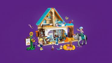 LEGO® Friends Tierarztpraxis für Pferde und Haustiere 428 Teile 42651