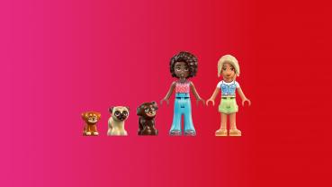 LEGO® Friends Welpenspielplatz 66 Teile 42665
