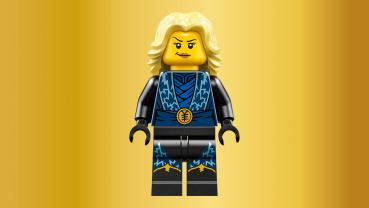 LEGO® NINJAGO 15-jähriges Jubiläum Ninja-Charaktere zum Ausstellen 447 Teile 71866