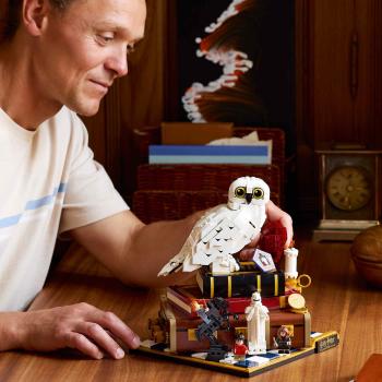 LEGO® Harry Potter™ Stein der Weisen - Sammleredition 1571 Teile 76466