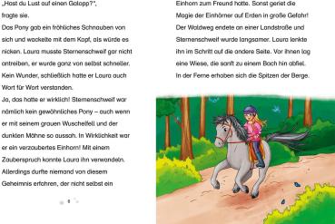 Kosmos Buch Sternenschweif Band 71 Das verzauberte Bild 17051